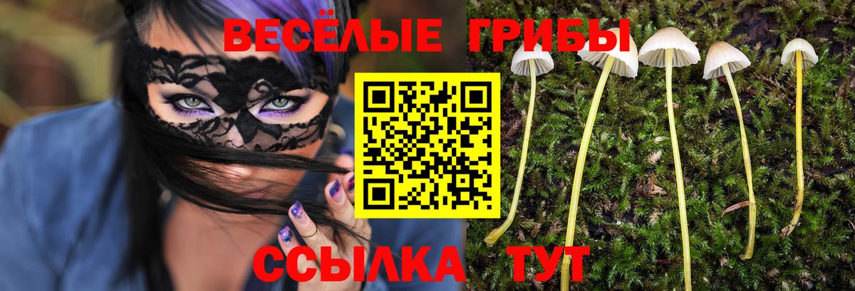 A-PVP СК кристаллы  NBOMe  МАРИХУАНА  МЕФ кристаллы  Вход с VPN  Чита  Гашиш  Cocaine  Каннабис 